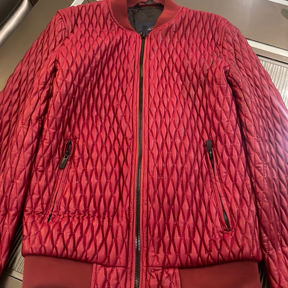 Zara Burgundi Fall/Spring Jacket